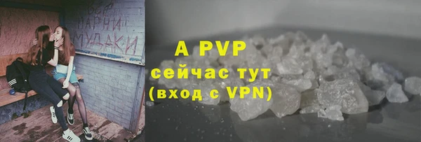 хмурый Зеленокумск