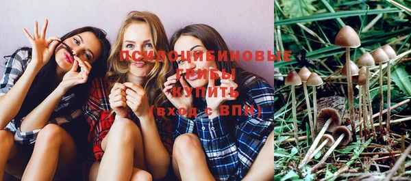 круглые Иннополис