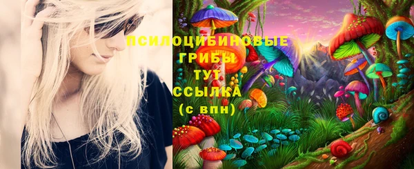 круглые Иннополис